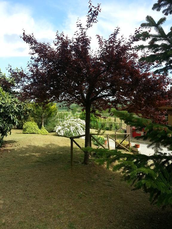 Podere Chiasso Gherardo Peccioli Экстерьер фото