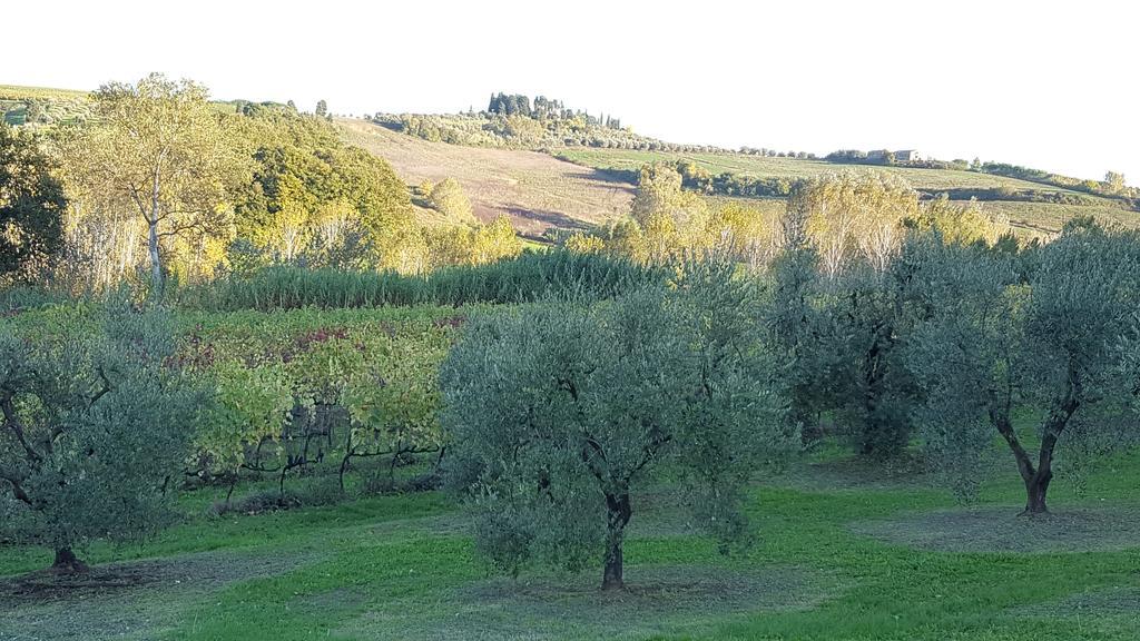Podere Chiasso Gherardo Peccioli Экстерьер фото