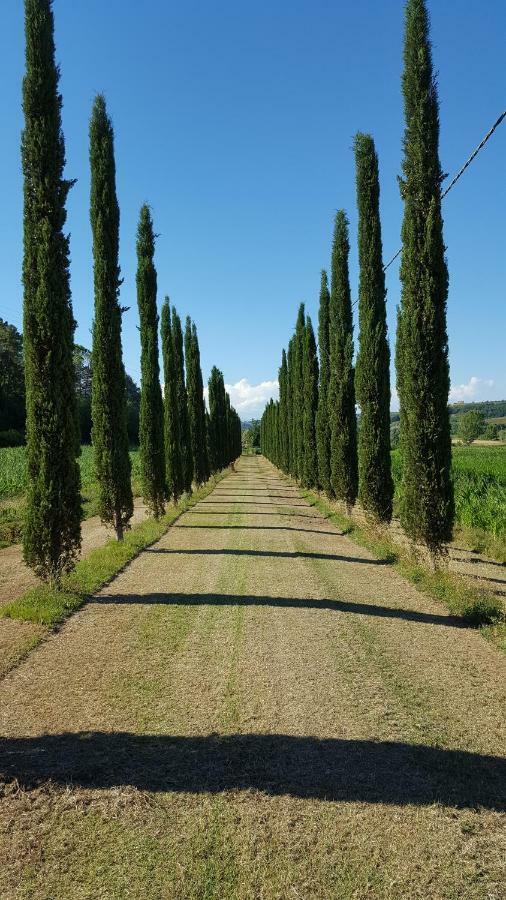 Podere Chiasso Gherardo Peccioli Экстерьер фото
