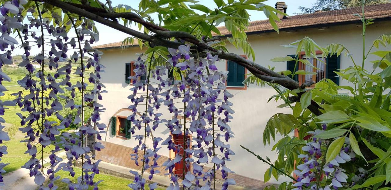 Podere Chiasso Gherardo Peccioli Экстерьер фото